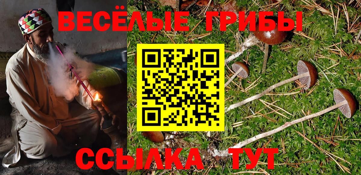 Таганрог  Псилоцибиновые грибы Magic Shrooms  Вход с VPN 