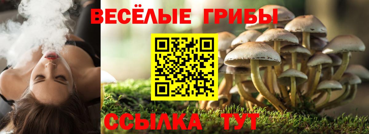 Галлюциногенные грибы мицелий Таганрог